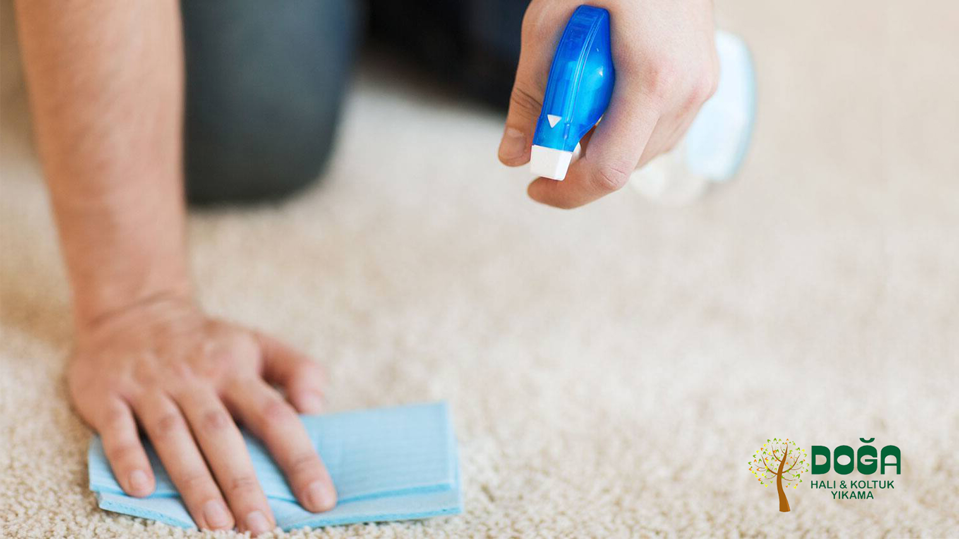 Halı Lekesi Çıkarma Yöntemleri Nelerdir?